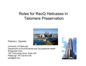 Roles for Recq Helicases in Telomere Preservation