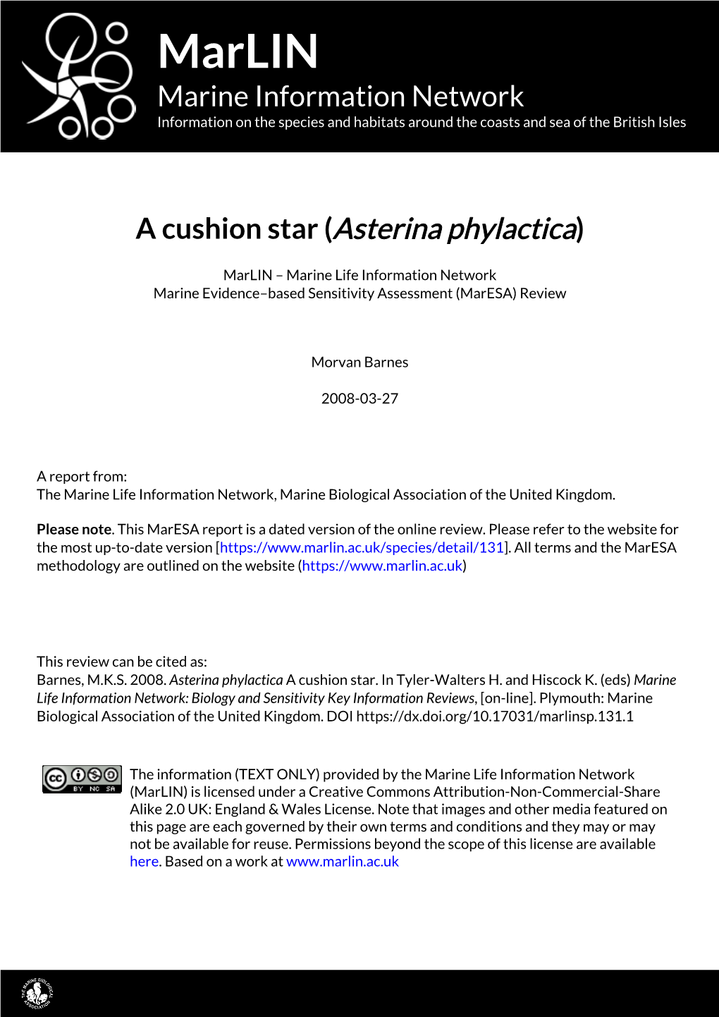 A Cushion Star (Asterina Phylactica)