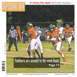 Panthers Are Headed to the Semi-Finals Page 12