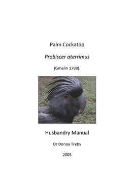 Palm Cockatoo