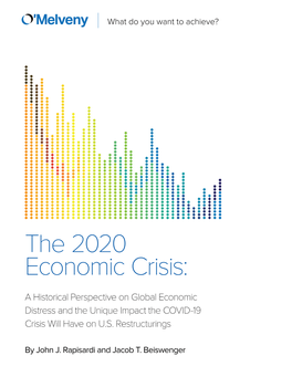 The 2020 Economic Crisis