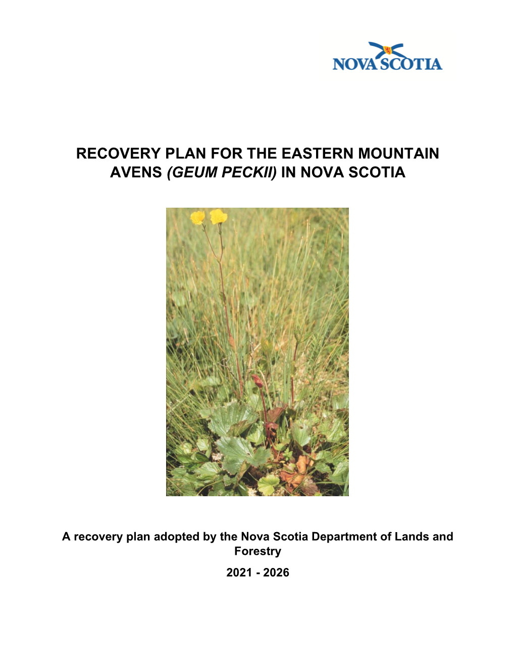 Recovery Plan for the Eastern Mountain Avens (Geum Peckii) in Nova Scotia