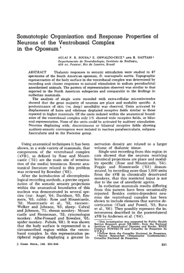 1% Showed Wide Receptive Fields, Or Bilat- Eral Representation