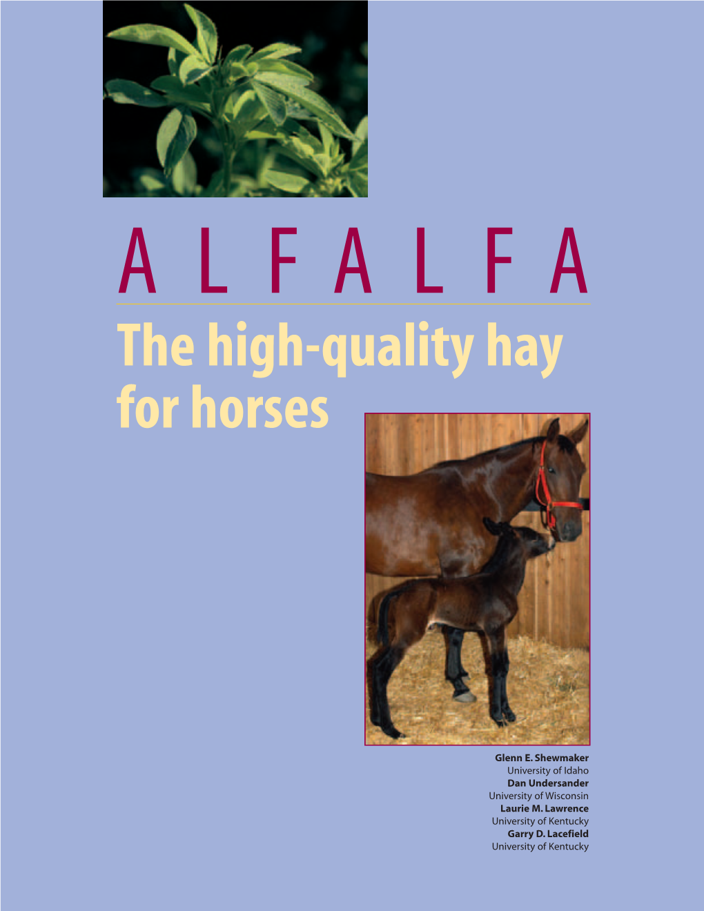 The High-Quality Hay for Horses