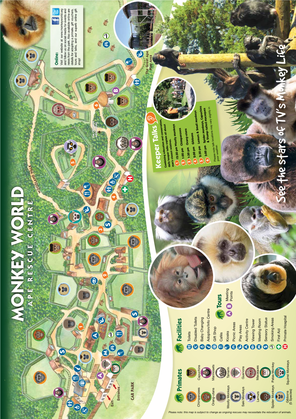 The Monkey World Leaflet &