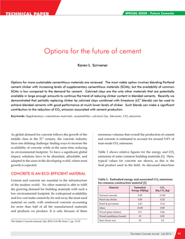 Options for the Future of Cement