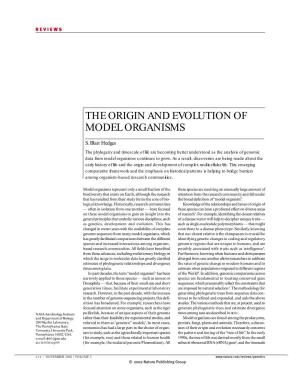 The Origin and Evolution of Model Organisms