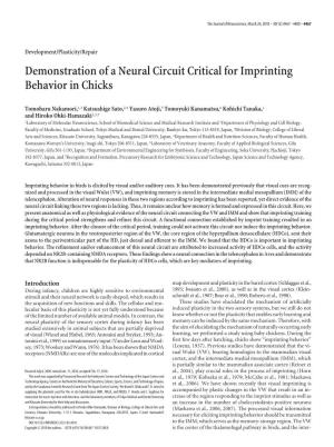Demonstration of a Neural Circuit Critical for Imprinting Behavior in Chicks