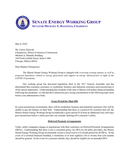 Senate Energy Working Group Senator Michael E