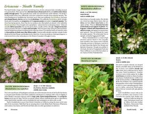 Ericaceae ~ Heath Family