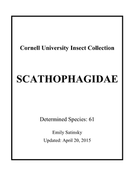Scathophagidae