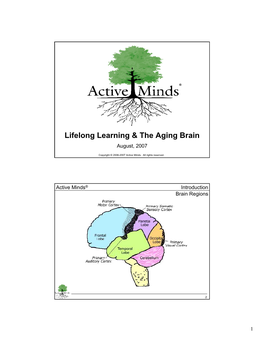Lifelong Learning & the Aging Brain