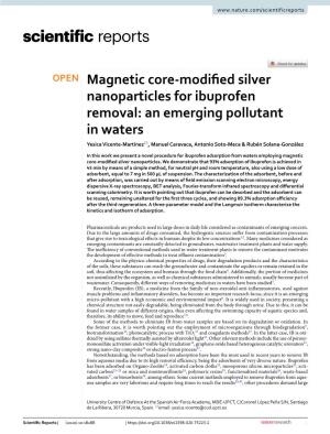 Magnetic Core-Modified Silver Nanoparticles for Ibuprofen Removal