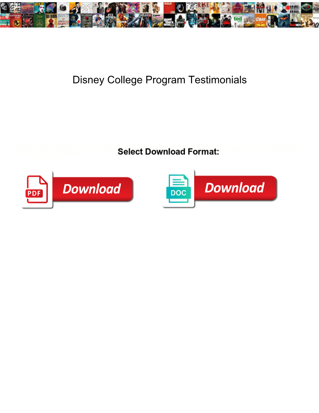 Disney College Program Testimonials