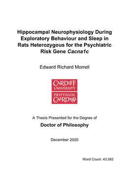 Hippocampal Neurophysiology During Exploratory Behaviour and Sleep in Rats Heterozygous for the Psychiatric Risk Gene Cacna1c