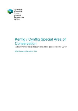 Kenfig / Cynffig Special Area of Conservation Indicative Site Level Feature Condition Assessments 2018