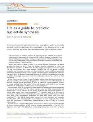 Life As a Guide to Prebiotic Nucleotide Synthesis