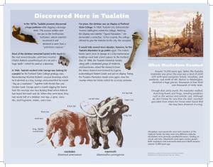 The Tualatin Mastodon to Go Public Again
