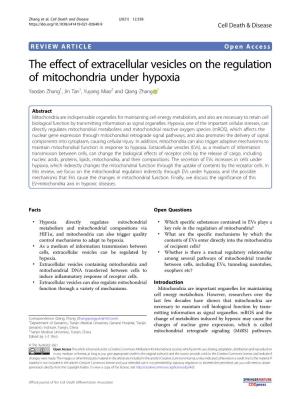 The Effect of Extracellular Vesicles on the Regulation of Mitochondria Under Hypoxia Yaodan Zhang1,Jintan1,Yuyangmiao2 and Qiang Zhang 1