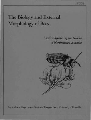 The Biology and External Morphology of Bees