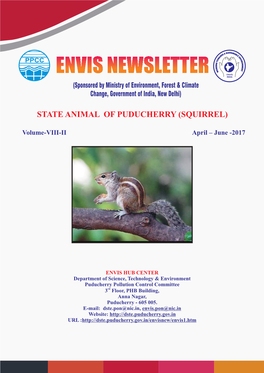 State Animal of Puducherry (Squirrel)
