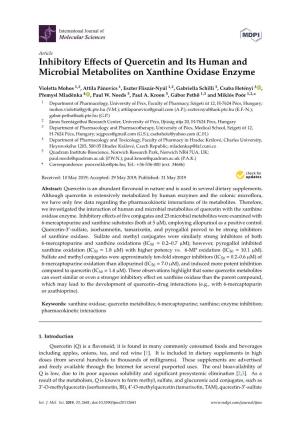 Inhibitory Effects of Quercetin and Its Human and Microbial Metabolites on Xanthine Oxidase Enzyme