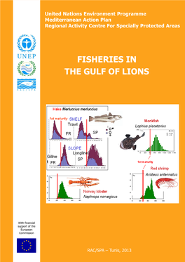 Fisheries in the Gulf of Lions