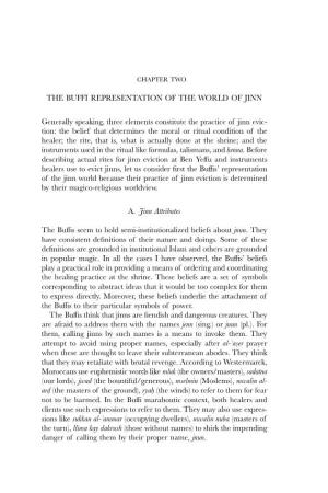 The Buffi Representation of the World of Jinn