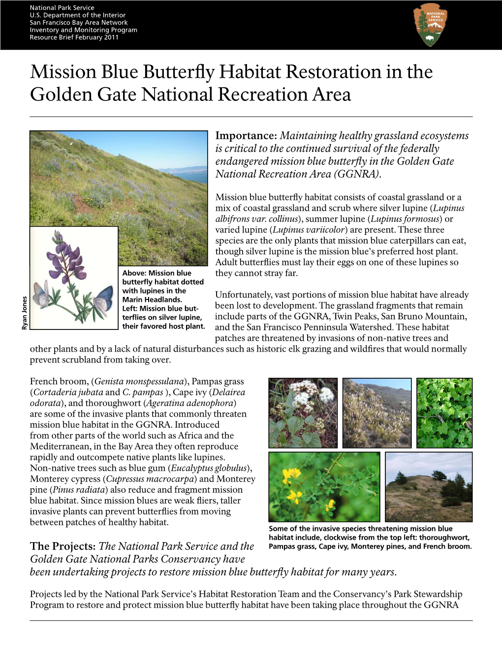 Mission Blue Butterfly Habitat Restoration in the Golden Gate National Recreation Area