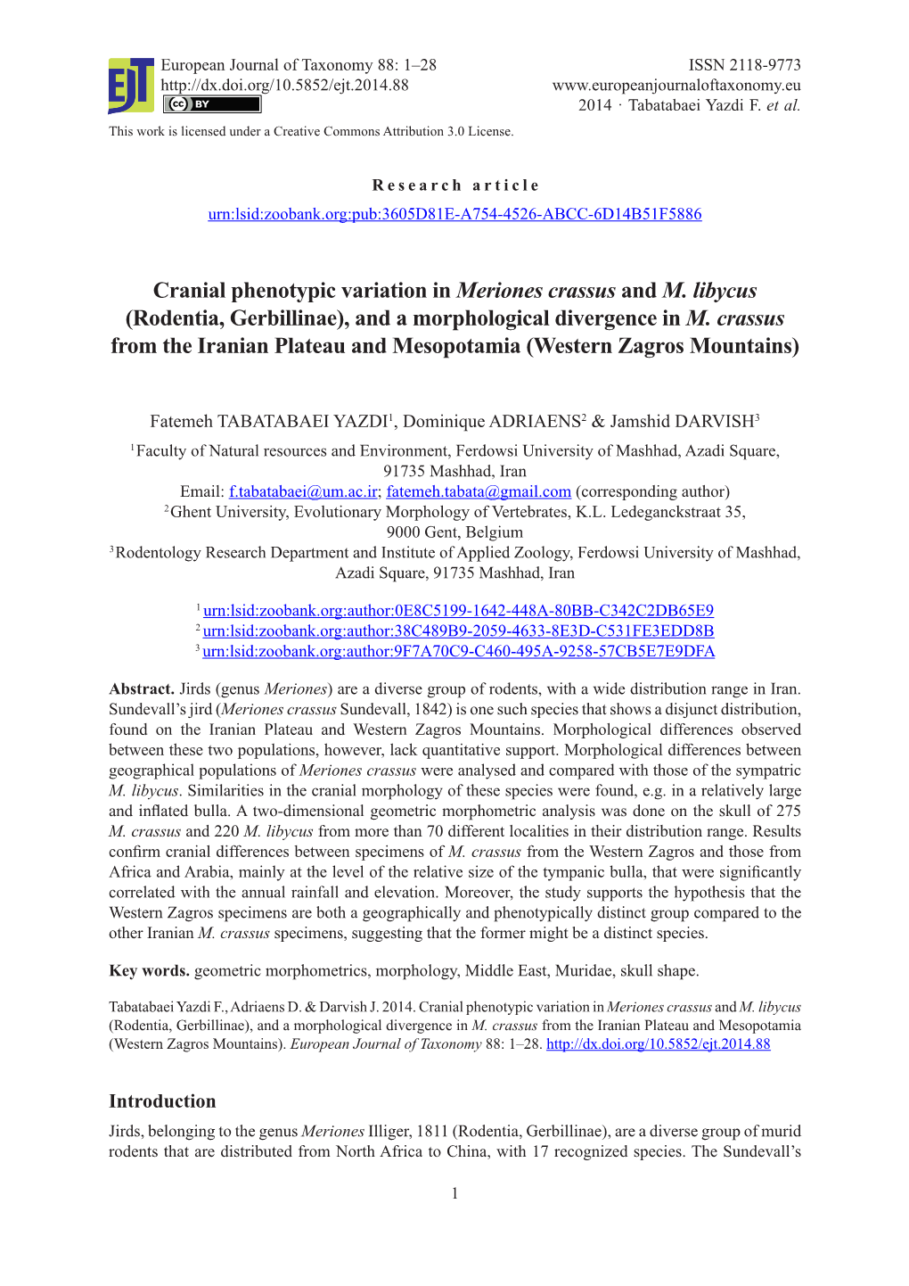 Rodentia, Gerbillinae), and a Morphological Divergence in M