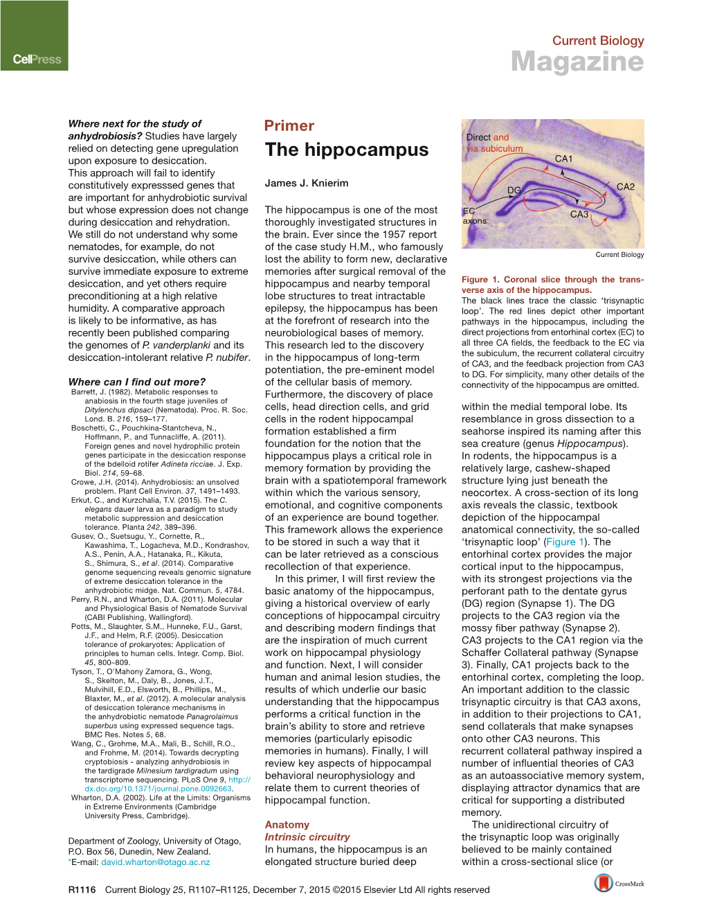 The Hippocampus Via Subiculum Upon Exposure to Desiccation