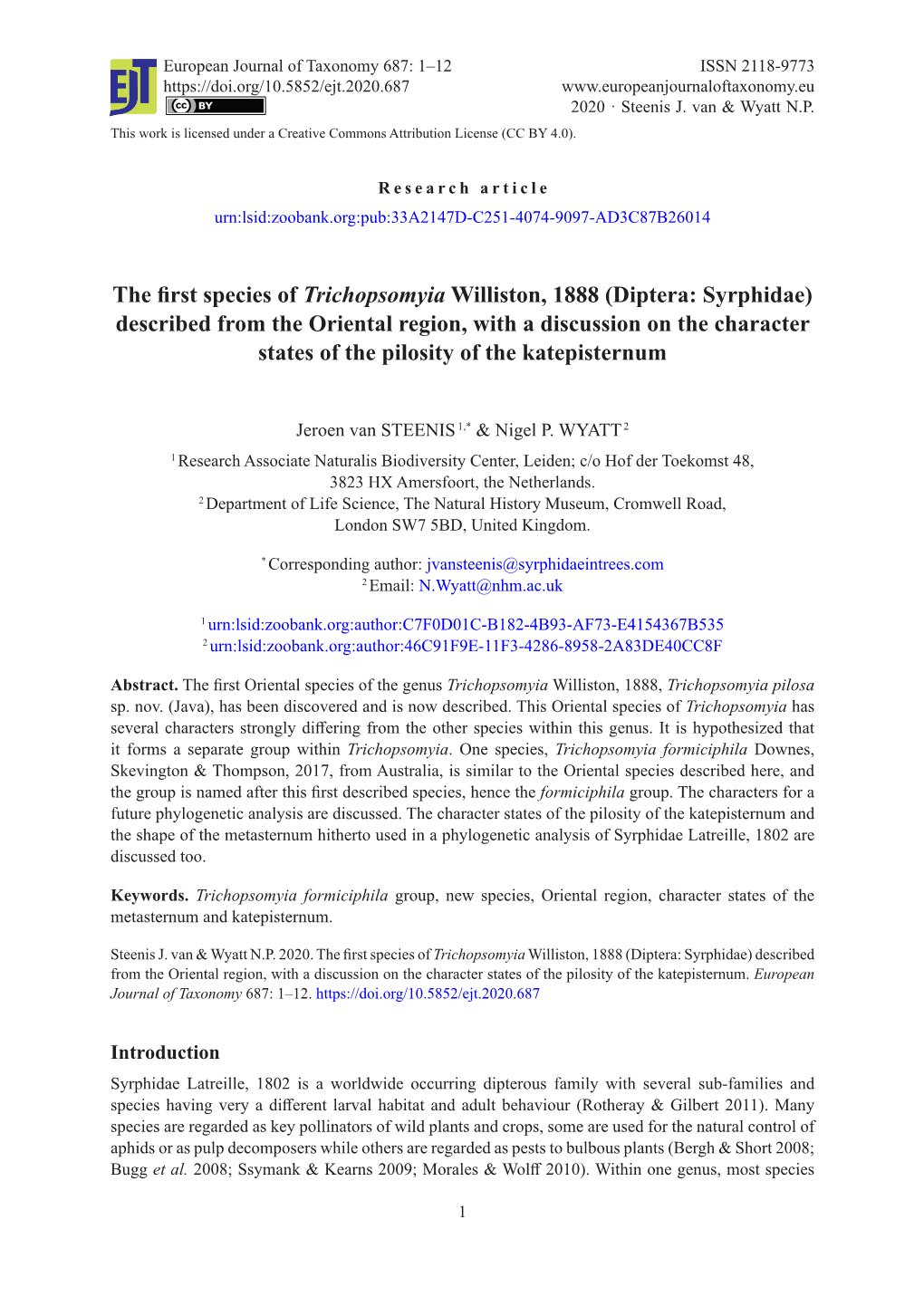 The First Species of Trichopsomyia Williston, 1888 (Diptera: Syrphidae)