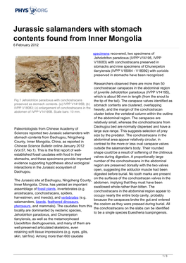 Jurassic Salamanders with Stomach Contents Found from Inner Mongolia 6 February 2012