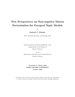New Perspectives on Non-Negative Matrix Factorization for Grouped Topic Models