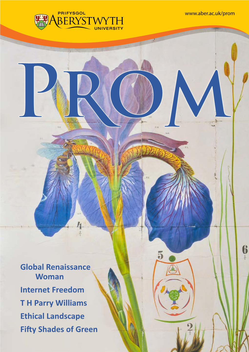 Global Renaissance Woman Internet Freedom T H Parry Williams Ethical Landscape Fifty Shades of Green Halls of Residence Academic Posts Sports Facilities