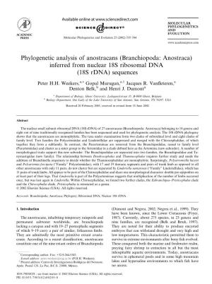 Phylogenetic Analysis of Anostracans (Branchiopoda: Anostraca) Inferred from Nuclear 18S Ribosomal DNA (18S Rdna) Sequences