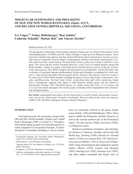 MOLECULAR SYSTEMATICS and PHYLOGENY of OLD and NEW WORLD RATSNAKES, Elaphe AUCT., and RELATED GENERA (REPTILIA, SQUAMATA, COLUBRIDAE)