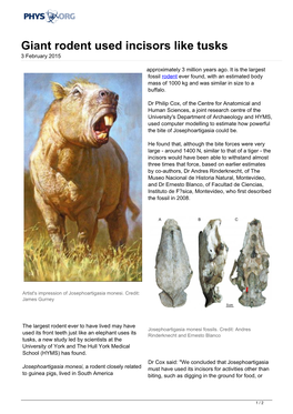 Giant Rodent Used Incisors Like Tusks 3 February 2015