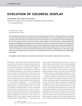 Evolution of Colorful Display