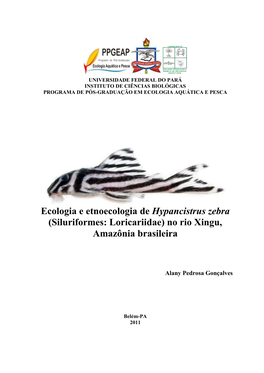 Ecologia E Etnoecologia De Hypancistrus Zebra (Siluriformes: Loricariidae) No Rio Xingu, Amazônia Brasileira