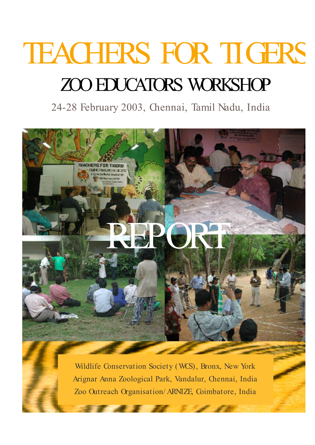2003 Chennai T4T Report Full