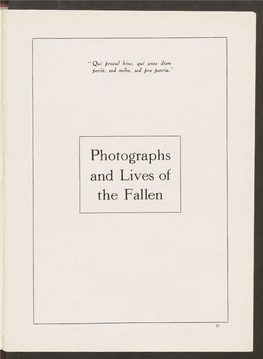 Photographs and Lives of the Fallen