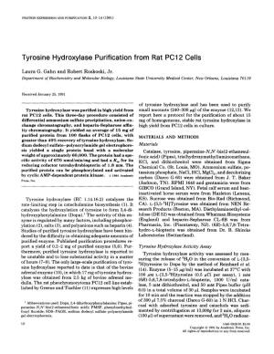 Tyrosine Hydroxylase Purification from Rat PC1 2 Ceils