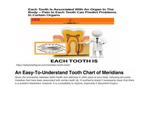 Tooth Chart of Meridians