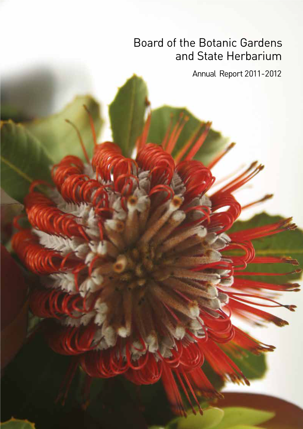 Board of the Botanic Gardens and State Herbarium Annual Report 2011-2012 Connecting Plants • People • Culture