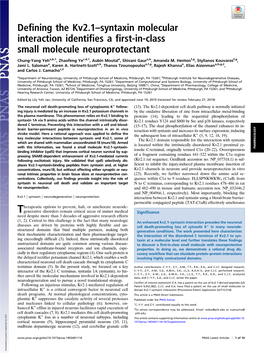 Defining the Kv2.1–Syntaxin Molecular Interaction Identifies a First-In-Class Small Molecule Neuroprotectant