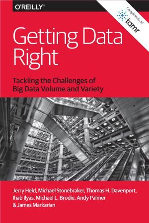Getting Data Right Tackling the Challenges of Big Data Volume and Variety