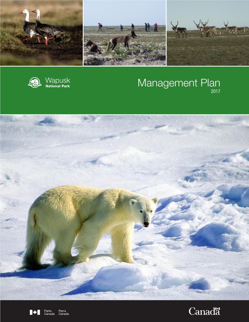 Wapusk National Park Management Plan 2017