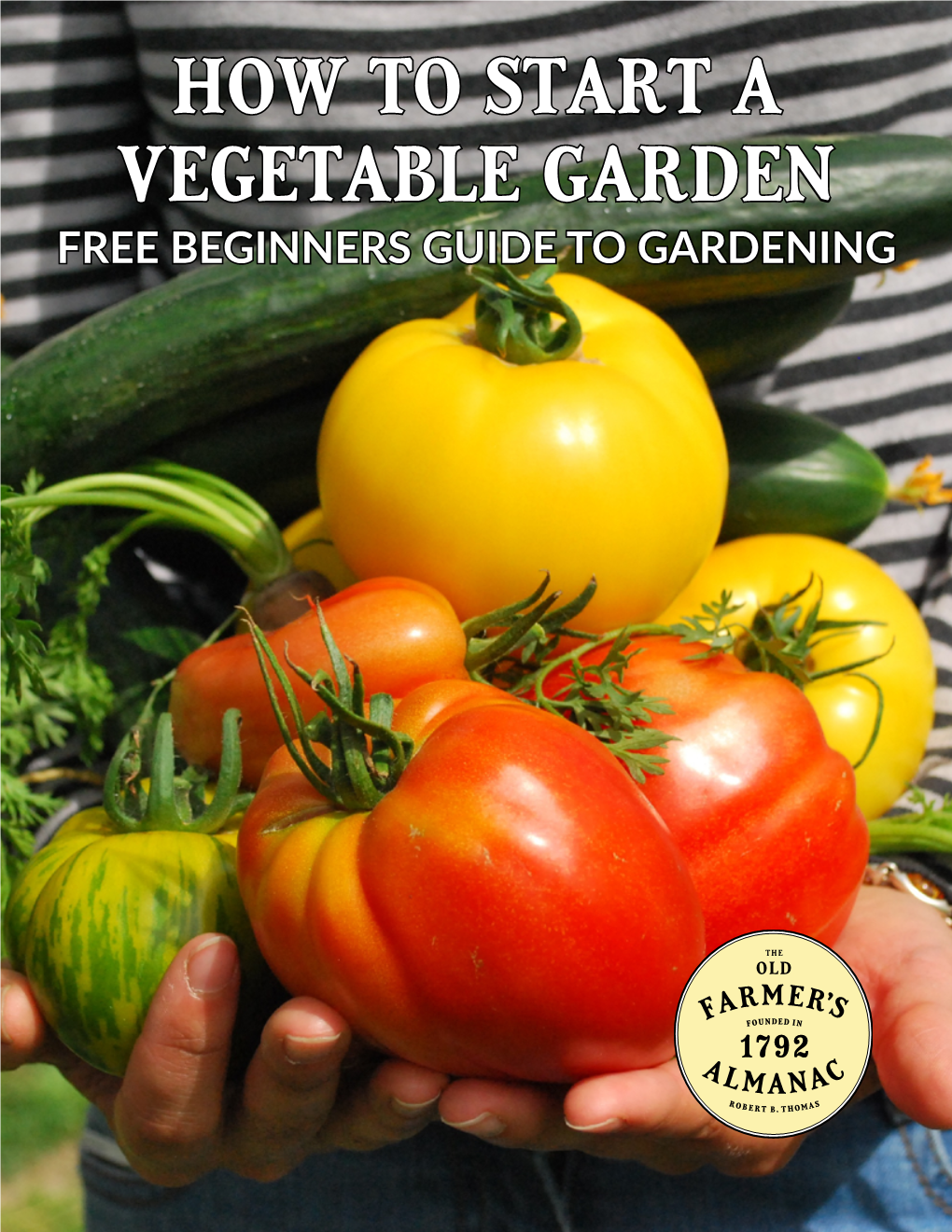 How to Start a Vegetable Garden Free Beginners Guide to Gardening