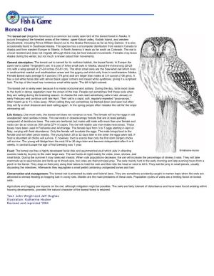 Boreal Owl: Wildlife Notebook Series
